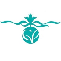 Curtis-Villar LLP logo