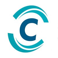 Cybervie-Cyber Security Services logo