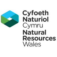 Cyfoeth Naturiol Cymru / Natural Resources Wales logo