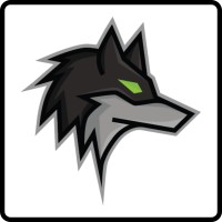 Dark Wolf Solutions logo