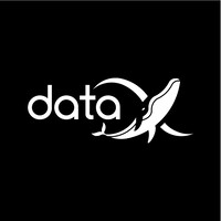 DataX logo