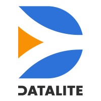 Datalite logo