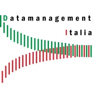 Datamanagement Italia SpA logo