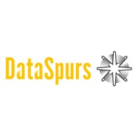 DataSpurs logo