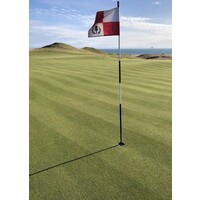 DUMBARNIE GOLF LINKS logo