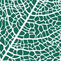 Fresh Ventures Studio logo