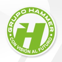 Grupo Hammer logo