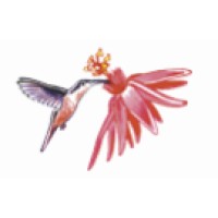 The Hummingbird company