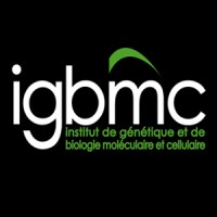 IGBMC logo