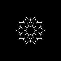 IRISSTAR Technologies logo