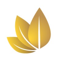 ITALIA CIGAR COMPANY