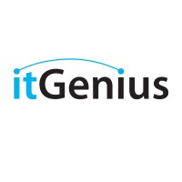 itGenius 🤓 Biz Tech Experts logo