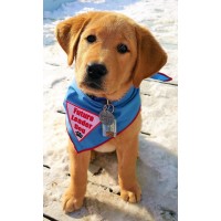 Leader Dogs for the Blind logo