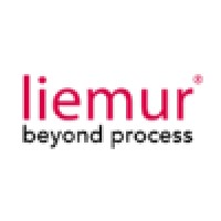 Liemur Limited logo