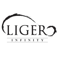 Liger Infinity Sdn Bhd logo