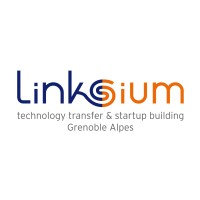 Linksium logo