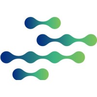 nag informatik ag logo