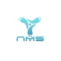 Nainomindz Solutions logo