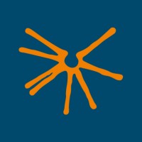 nanocosmos logo