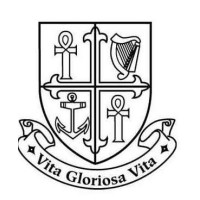 The National Maternity Hospital logo