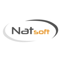 Natsoft logo
