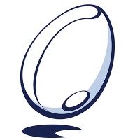 Next Level Games logo