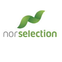 Nor Selection Rekruttering AS logo