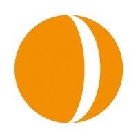 Noser Engineering AG logo