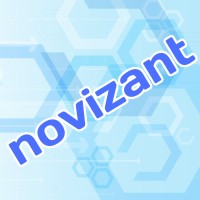 Novizant logo