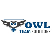 OWL TEAM SOLUTIONS logo