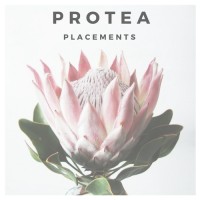 Protea Placements logo