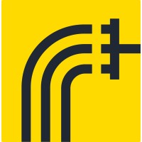 RAIC Labs (formerly Synthetaic) logo