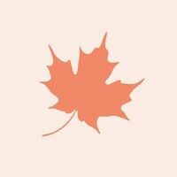 Red Maple Montessori Islamabad logo