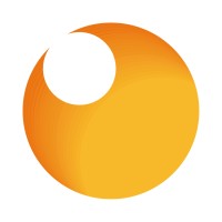 Redsys Servicios de Procesamiento logo