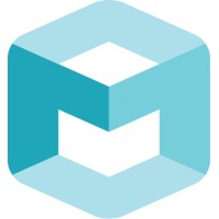 Seeing Machines logo