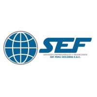 SEF Perú Holding logo