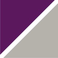 Serial de la Torre logo