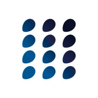 Soluzione Tasse logo