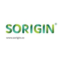 Sorigin Group logo