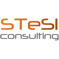 STeSI Consulting logo