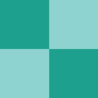 Survey Solutions logo