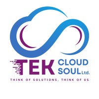 Tek CloudSoul Ltd. - White Label Service Provider logo