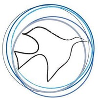 The Next Century Foundation logo