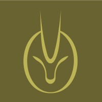 The Olive Oryx