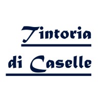 Tintoria di Caselle S.r.l