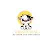 Todays Cow logo
