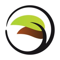 Transitions Counseling and Consulting logo