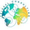 Triskel Consulting logo