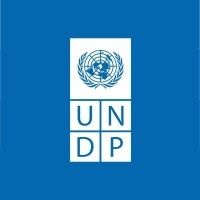 UNDP in the Arab States region logo