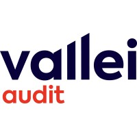 Logo Vallei Audit